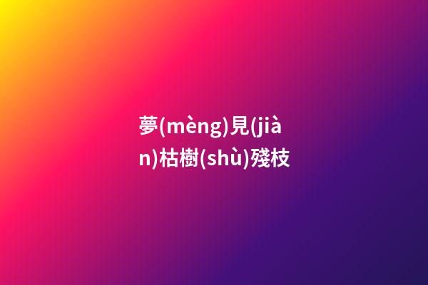 夢(mèng)見(jiàn)枯樹(shù)殘枝