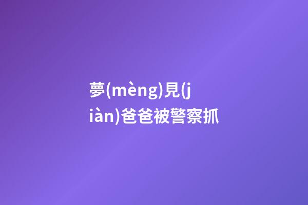 夢(mèng)見(jiàn)爸爸被警察抓