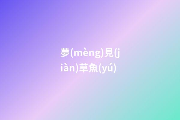 夢(mèng)見(jiàn)草魚(yú)