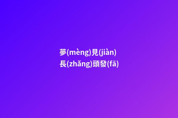 夢(mèng)見(jiàn)長(zhǎng)頭發(fā)