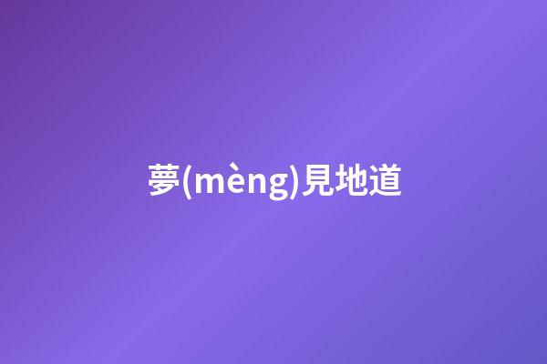 夢(mèng)見地道