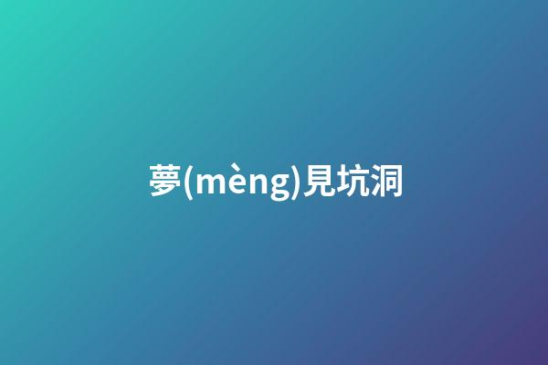 夢(mèng)見坑洞