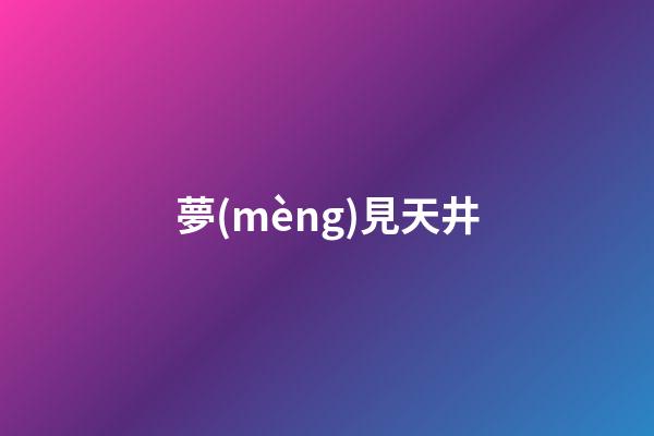 夢(mèng)見天井