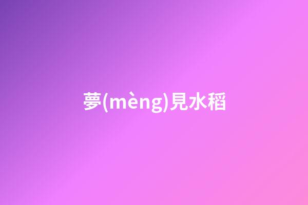 夢(mèng)見水稻