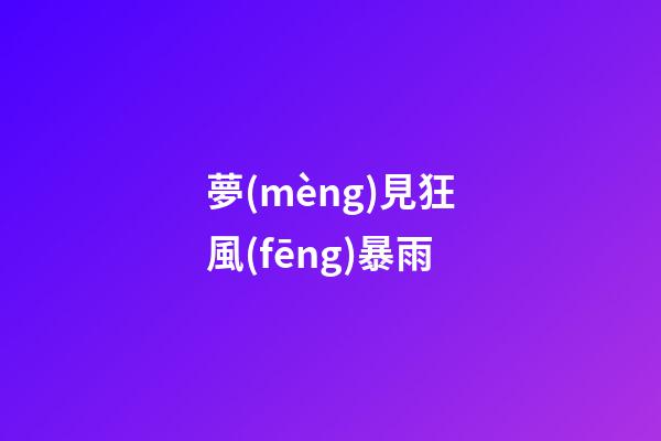 夢(mèng)見狂風(fēng)暴雨