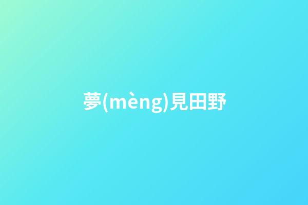 夢(mèng)見田野