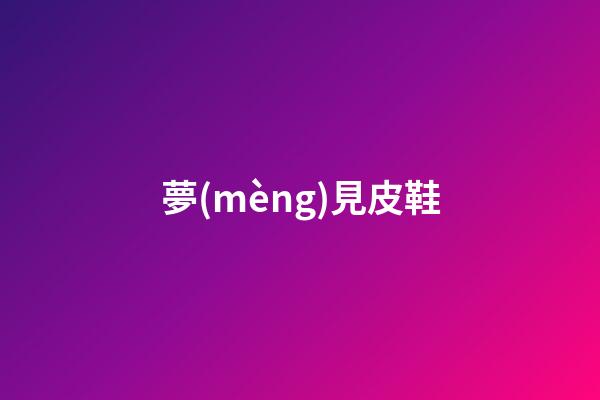 夢(mèng)見皮鞋