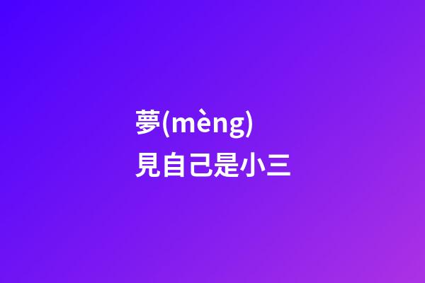 夢(mèng)見自己是小三