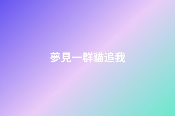 夢見一群貓追我
