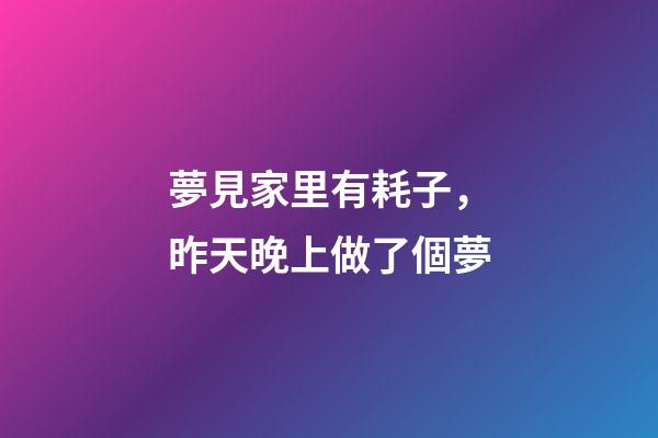 夢見家里有耗子，昨天晚上做了個夢-第1張-觀點-玄機派