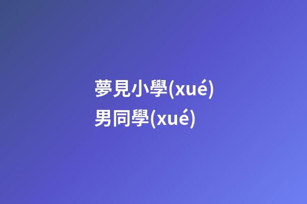 夢見小學(xué)男同學(xué)