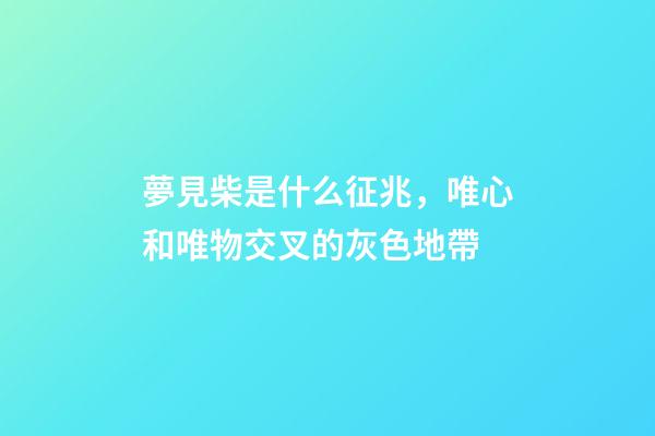 夢見柴是什么征兆，唯心和唯物交叉的灰色地帶-第1張-觀點-玄機派