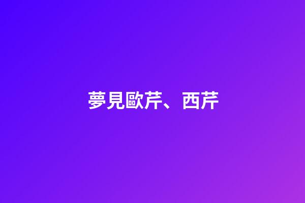 夢見歐芹、西芹