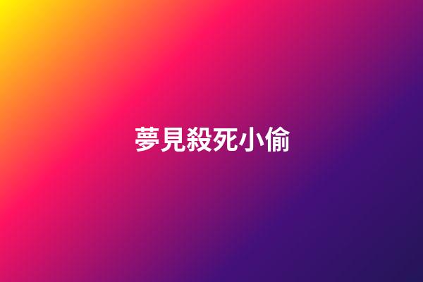 夢見殺死小偷