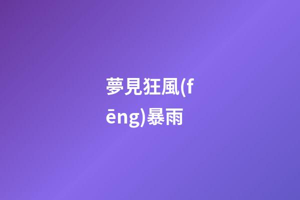 夢見狂風(fēng)暴雨