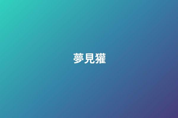夢見獾
