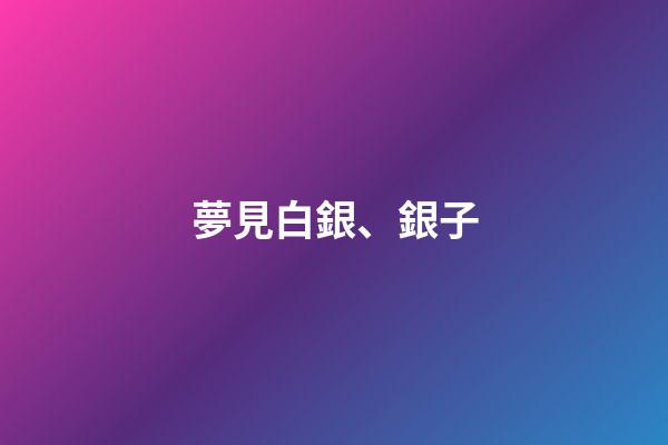 夢見白銀、銀子
