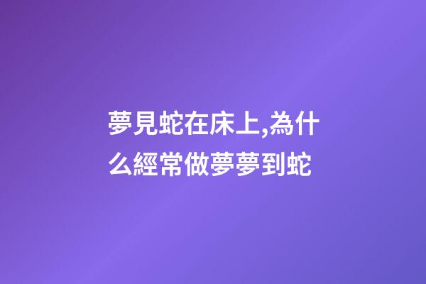 夢見蛇在床上,為什么經常做夢夢到蛇-第1張-觀點-玄機派