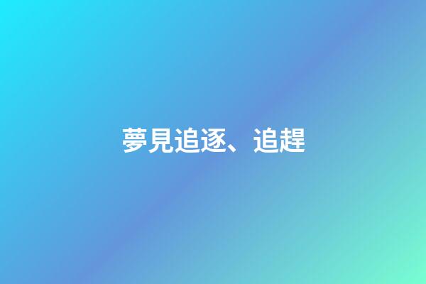 夢見追逐、追趕