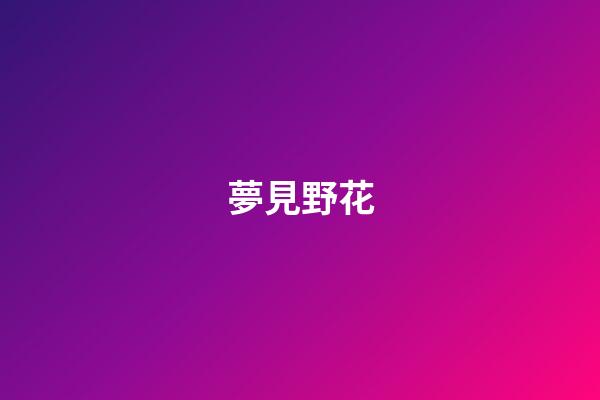 夢見野花