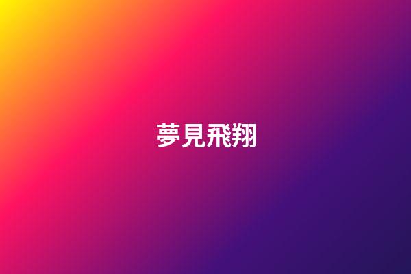 夢見飛翔
