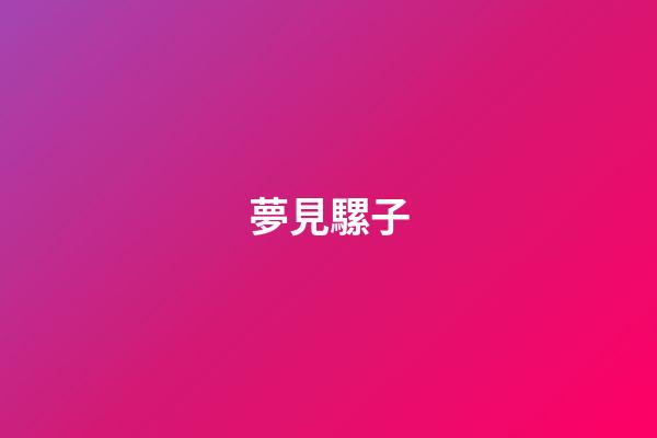 夢見騾子