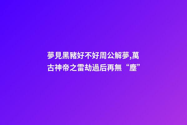 夢見黑豬好不好周公解夢,萬古神帝之雷劫過后再無“塵”-第1張-觀點-玄機派