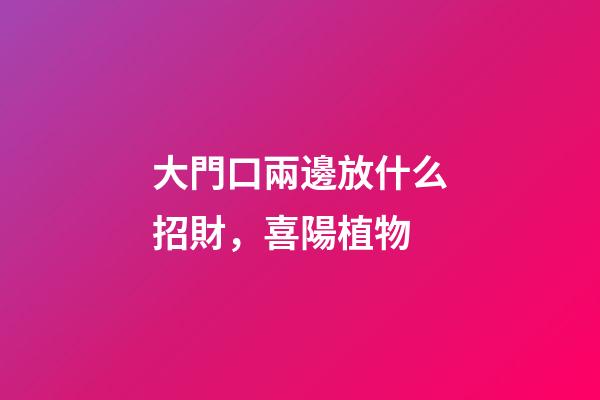 大門口兩邊放什么招財，喜陽植物