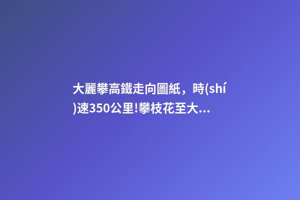 大麗攀高鐵走向圖紙，時(shí)速350公里!攀枝花至大理高鐵方案出爐-第1張-觀點(diǎn)-玄機(jī)派