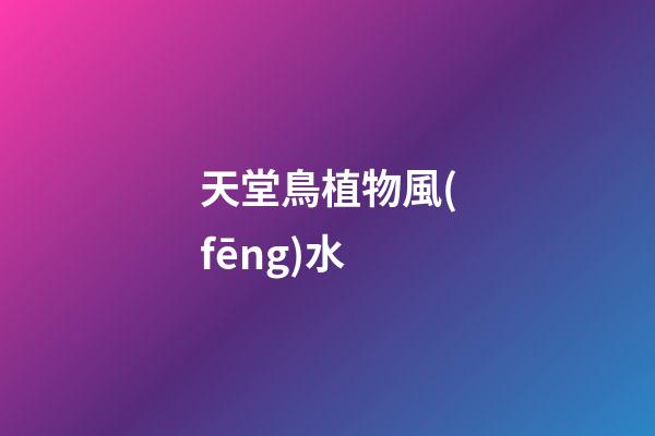 天堂鳥植物風(fēng)水