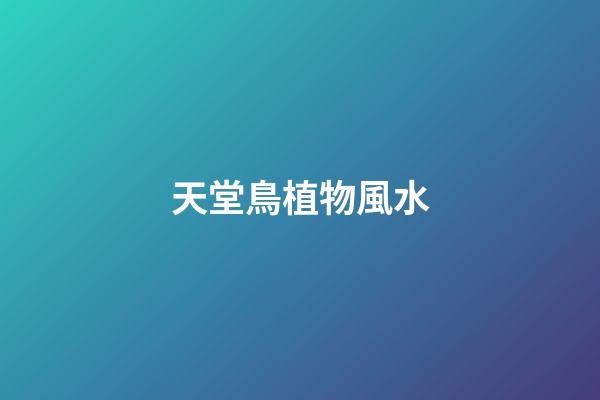 天堂鳥植物風水