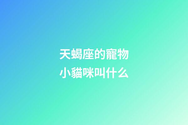 天蝎座的寵物小貓咪叫什么