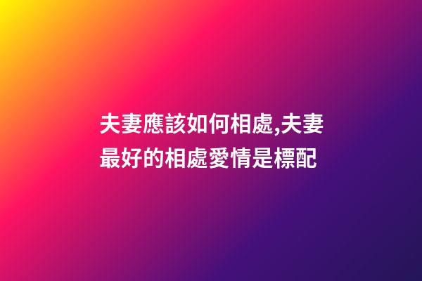 夫妻應該如何相處,夫妻最好的相處愛情是標配-第1張-觀點-玄機派