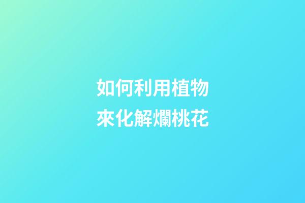 如何利用植物來化解爛桃花
