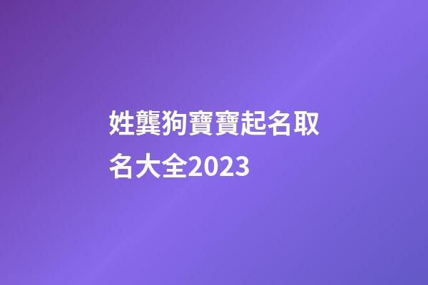 姓龔狗寶寶起名取名大全2023