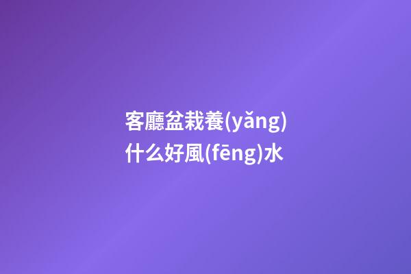 客廳盆栽養(yǎng)什么好風(fēng)水