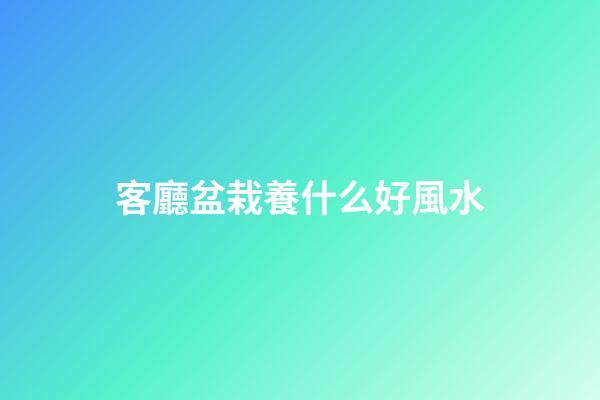 客廳盆栽養什么好風水