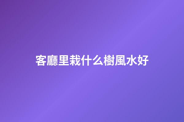 客廳里栽什么樹風水好