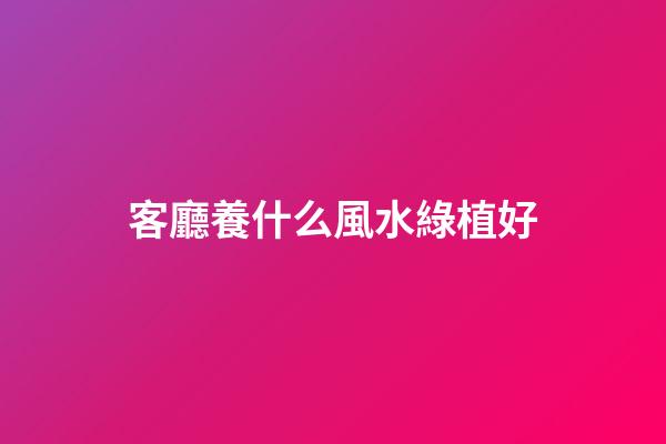 客廳養什么風水綠植好