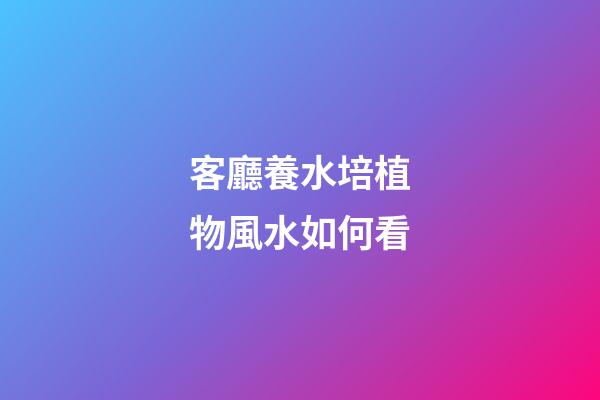 客廳養水培植物風水如何看