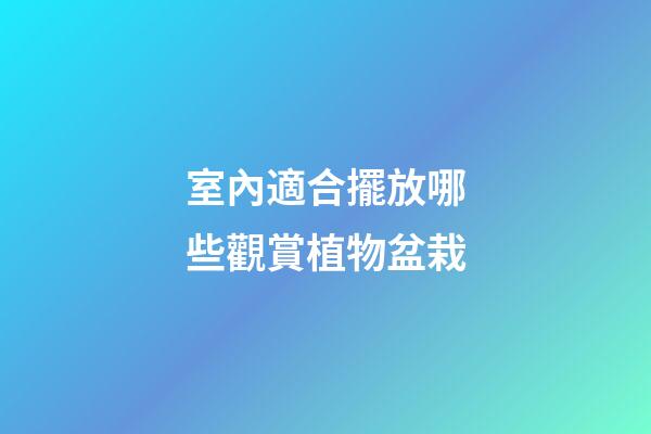 室內適合擺放哪些觀賞植物盆栽