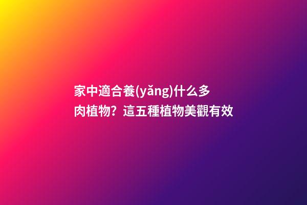 家中適合養(yǎng)什么多肉植物？這五種植物美觀有效