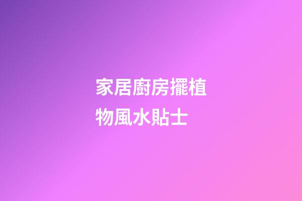 家居廚房擺植物風水貼士