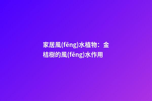 家居風(fēng)水植物：金桔樹的風(fēng)水作用