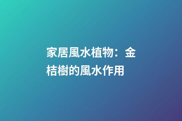 家居風水植物：金桔樹的風水作用