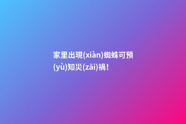 家里出現(xiàn)蜘蛛可預(yù)知災(zāi)禍！