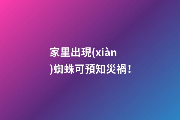 家里出現(xiàn)蜘蛛可預知災禍！