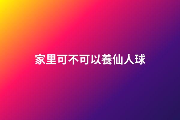 家里可不可以養仙人球