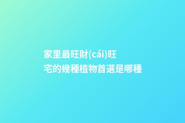 家里最旺財(cái)旺宅的幾種植物首選是哪種