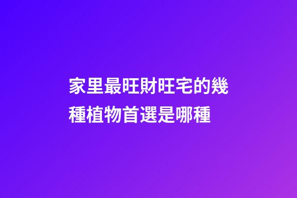 家里最旺財旺宅的幾種植物首選是哪種